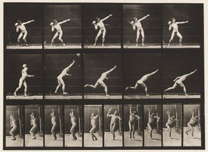 Levy 314. 20-lb:n kiven nostaminen tekijältä Eadweard Muybridge