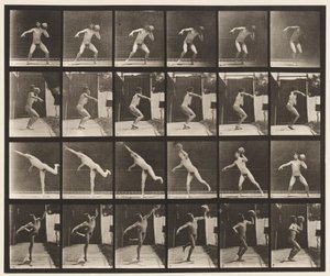 Levy 315. Nostaa 20-lb kiveä tekijältä Eadweard Muybridge