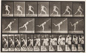 Levy 316. 20-lb:n kallion nostaminen, 1885 tekijältä Eadweard Muybridge