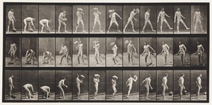 Levy 317. Nostaa 70-lb:n kiveä tekijältä Eadweard Muybridge