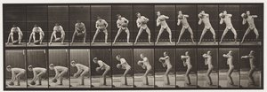 Levy 318. 75-lb:n kiven nostaminen, 1872-1885 tekijältä Eadweard Muybridge