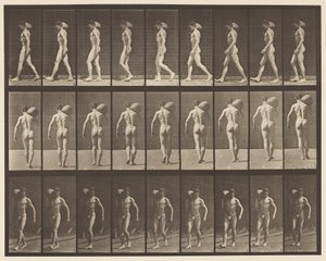 Levy 31. Kävely, 75-lb:n kiven kantaminen oikealla olkapäällä tekijältä Eadweard Muybridge
