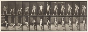 Lauta 320. 50 lb:n käsipainon nostaminen tekijältä Eadweard Muybridge