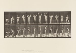 Lauta 322. Mies nostaa käsipainoja tekijältä Eadweard Muybridge