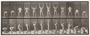 Levy 323. Kahden 50-lb:n käsipainon nostaminen ja laskeminen alas tekijältä Eadweard Muybridge