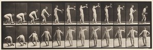 Levy 326. Nosto 50-lb. Käsipainokello käsivarren pituus tekijältä Eadweard Muybridge