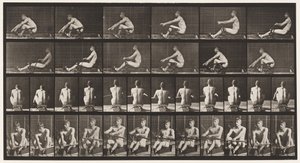 Lauta 327. Soutu tekijältä Eadweard Muybridge