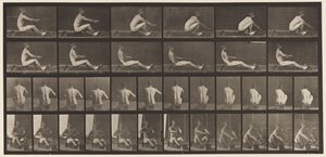 Lauta 328. Soutu tekijältä Eadweard Muybridge