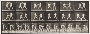 Lauta 329. Nyrkkeily; (Kengät) tekijältä Eadweard Muybridge