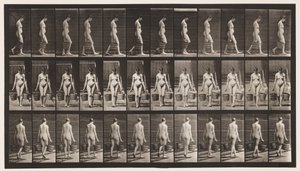 Lauta 32. Kävely, vesiämpäri kantoi kummassakin kädessä tekijältä Eadweard Muybridge