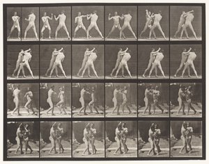 Lauta 330. Nyrkkeily; Cross-Counter (kengät) tekijältä Eadweard Muybridge