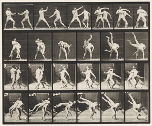 Levy 332. Nyrkkeily; Ristipakarat (kengät) tekijältä Eadweard Muybridge