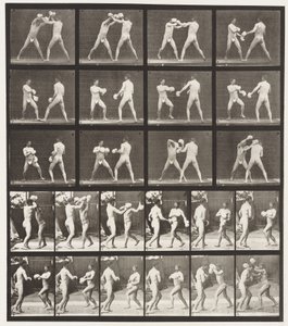 Levy 334. Nyrkkeily; Käsineillä (kengät) tekijältä Eadweard Muybridge