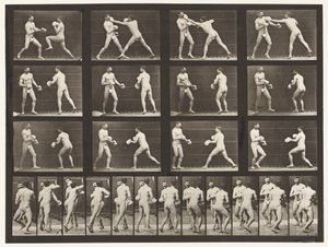 Lauta 335. Nyrkkeily; Käsineiden kanssa tekijältä Eadweard Muybridge