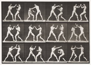 Levy 336. Nyrkkeily; Avoin käsi (kengät) tekijältä Eadweard Muybridge