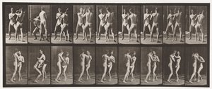 Levy 337. Nyrkkeily; Avoin käsi tekijältä Eadweard Muybridge