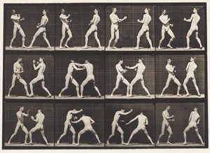 Levy 338. Nyrkkeily; Avoin käsi (kengät) tekijältä Eadweard Muybridge