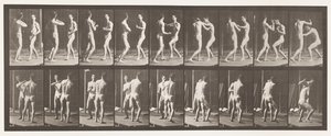 Levy 339. Nyrkkeily; Avoin käsi tekijältä Eadweard Muybridge