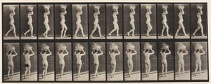 Lauta 33. Kävely, 14-lb. Kori päässä, kädet kohotettuina, 1872-1885 tekijältä Eadweard Muybridge