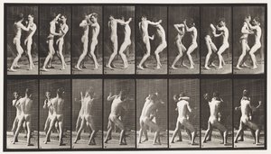 Levy 341. Nyrkkeily; Avoin käsi tekijältä Eadweard Muybridge
