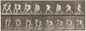 Levy 342. Nyrkkeily; Avoin käsi, 1872-1885 tekijältä Eadweard Muybridge