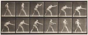 Levy 344. Isku (oikea käsi) tekijältä Eadweard Muybridge