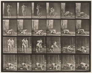 Levy 346. Paini, lukko tekijältä Eadweard Muybridge