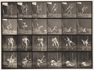 Levy 348. Paini, kreikkalais-roomalainen, 1885 tekijältä Eadweard Muybridge