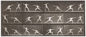 Levy 349. Miekkailu, 1872-1885 tekijältä Eadweard Muybridge