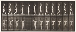 Lauta 34. Kävely tekijältä Eadweard Muybridge