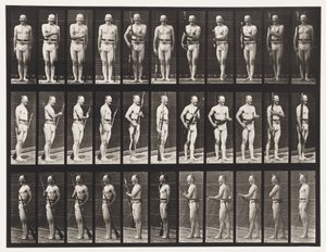 Levy 351. Kiinnitä ja irrota pistimet, 1872-1885 tekijältä Eadweard Muybridge