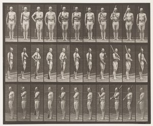 Levy 352. Olkapää, järjestys ja kantovarret tekijältä Eadweard Muybridge
