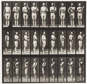 Levy 353. Tukivarret ja käsivarsien portti, 1872-1885 tekijältä Eadweard Muybridge