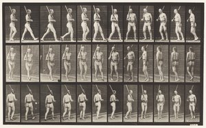 Kilpi 355. Vartiossa, käveleminen ja kääntyminen tekijältä Eadweard Muybridge