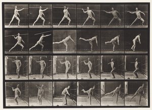 Levy 361. Keihäänheitto, 1872-1885 tekijältä Eadweard Muybridge