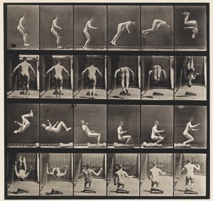 Levy 363. Juokseva kuperkeikka, 1885 tekijältä Eadweard Muybridge