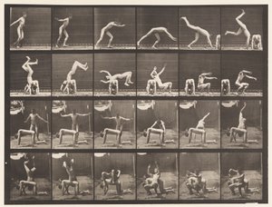 Levy 364. Käsijousi miehen selän yli tekijältä Eadweard Muybridge