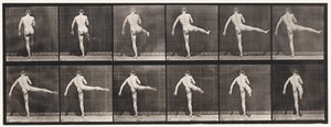 Levy 369. Ensimmäinen balettitoiminta tekijältä Eadweard Muybridge
