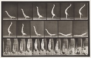 Levy 372. Acrobat, vaakapaine ylös tekijältä Eadweard Muybridge