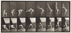 Levy 373. Acrobat, paina ylös tuolista tekijältä Eadweard Muybridge