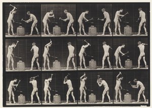 Levy 374. Sepät, Kaksi mallia, Vasara alasin tekijältä Eadweard Muybridge