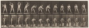 Levy 376. Seppä, Vasara alasin, kaksi kättä, 1872-1885 tekijältä Eadweard Muybridge