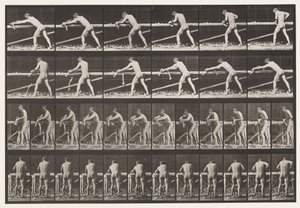 Levy 379. Puuseppä, höyläys lautaa, 1872-1885 tekijältä Eadweard Muybridge