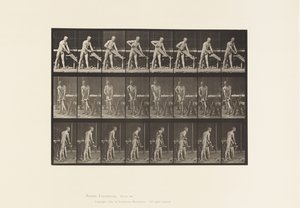 Levy 380. Puuseppä, sahaus, 1872-1885 tekijältä Eadweard Muybridge