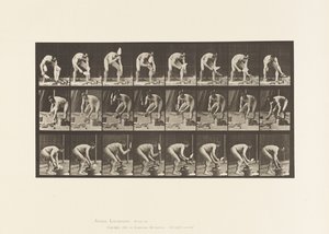 Levy 381. Mason, tiilen laskeminen tekijältä Eadweard Muybridge