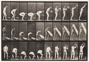 Levy 382. Puun nostopää, 1872-1885 tekijältä Eadweard Muybridge