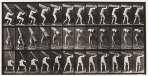 Levy 383. Puun nostaminen olalla tekijältä Eadweard Muybridge