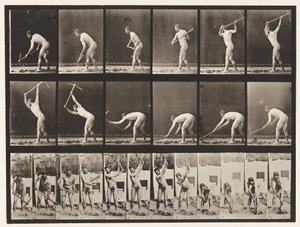 Levy 385. Maanviljelijä, käyttäen hakkua, 1872-1885 tekijältä Eadweard Muybridge
