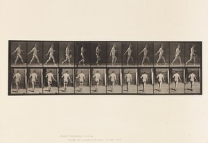 Levy 389. Farmer, Scattering Seed, 1872-1885 tekijältä Eadweard Muybridge