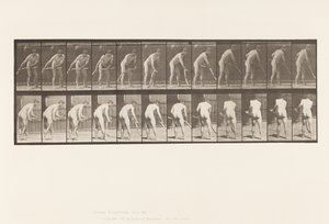 Levy 390. Maanviljelijä, niitto ruohoa tekijältä Eadweard Muybridge
